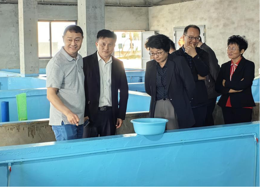 省政協(xié)肖鶯子副主席率隊(duì)到晨海種業(yè)調(diào)研